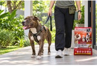 ประโยชน์ของโปรตีนและไขมันใน F1DOGFOOD: ให้อย่างพอดีเพื่อดูแลสุนัข