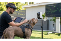 ปลดล็อกศักยภาพพิตบูล: วิธีนำเทคโนโลยี AI มาช่วยฝึกและปรับพฤติกรรมสุนัข