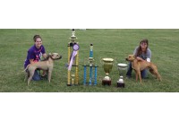 Dog Show Tips And Tricks