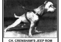 CH.CRENSHAW"S JEEP ROM What Exactly is a Pit Bull Bloodline?