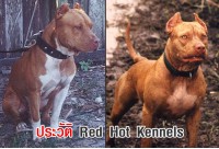 ประวัติ Red Hot Kennels