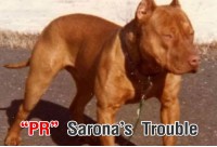 PR Sarona’s Trouble