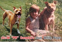 ประวัติ “PR” Camelot’s Ouzi White Paws