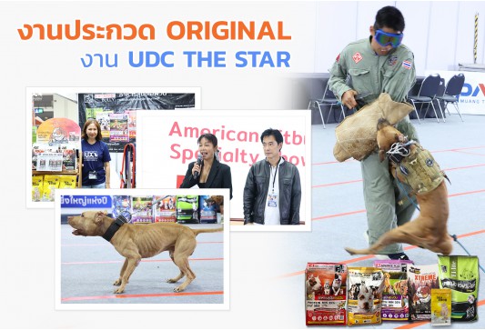 งานประกวด Original และงาน UDC THE STAR