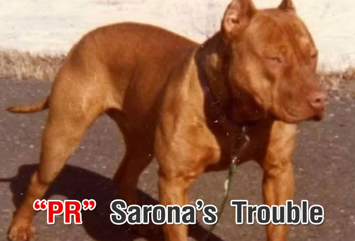 “PR” Sarona’s Trouble