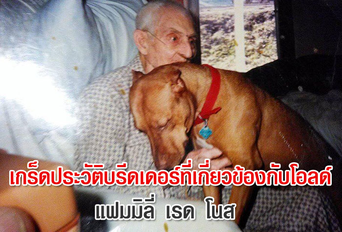 เกร็ดประวัติบรีดเดอร์ที่เกี่ยวข้องกับโอลด์ แฟมมิลี่ เรด โนส